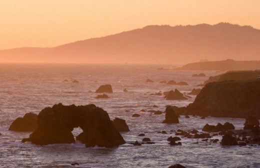 San Francisco to Redwood National Park: The Best Road Trip in Northern California